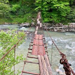 Eine abenteuerliche Brücke