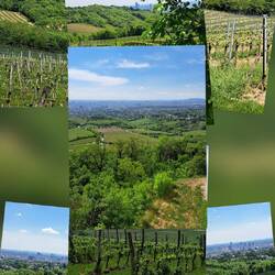Wanderung durch die Weinberge