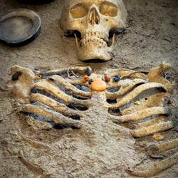 Tomb 116D: one of two skeletons (double grave; married couple [?]) ... this one w/necklace.