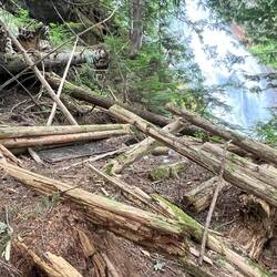 The trapper had a beautiful view of the water fall!