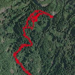 Our track. Some of it on the trail. Some of it not...