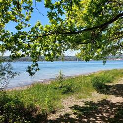 Tolle Stimmung