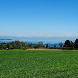 Blick vom Purren auf den Bodensee