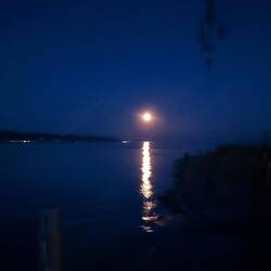 Gute Nacht🌙