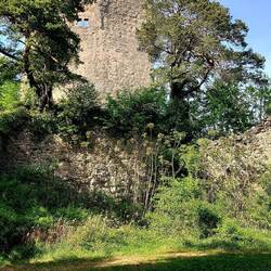 Ruine Alt-Bodman