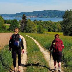 Wandern am frühen Morgen