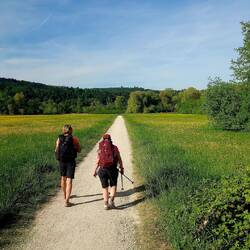 Durch das Ried Richtung Schachenhorn