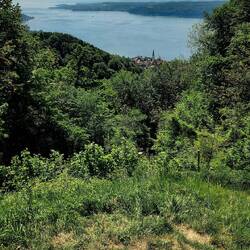 Blick nach Sipplingen