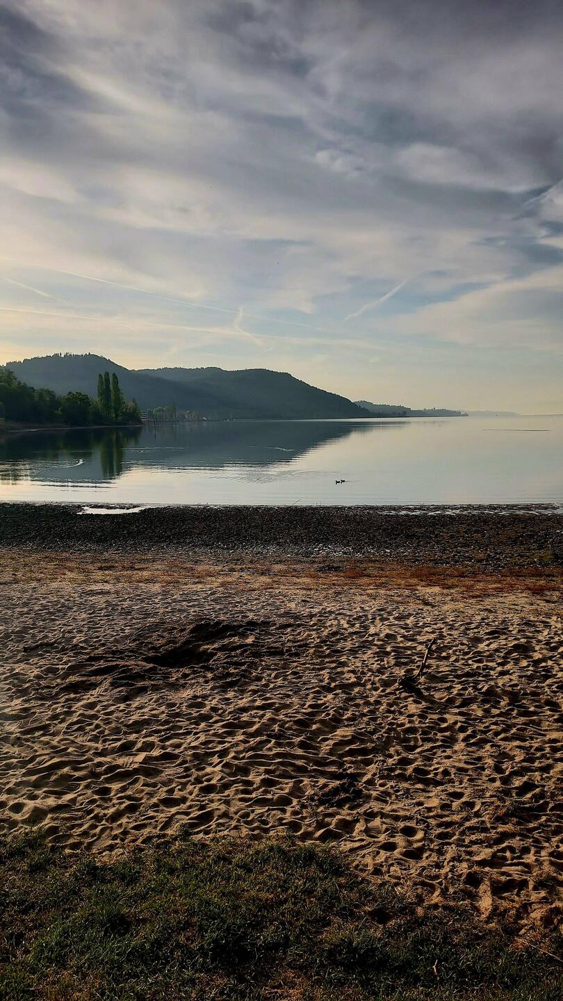 Morgenstimmung