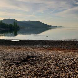 Morgenstimmung