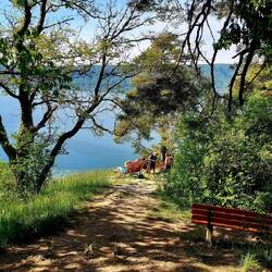 Immer wieder schöne Aussichten auf den Überlinger See
