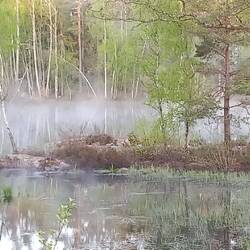 aufsteigender Nebel über kl.Teich-Insel