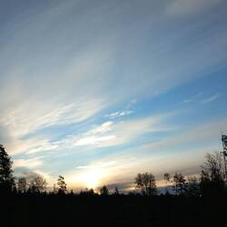 Sonnenaufgang,sie hat zu tun