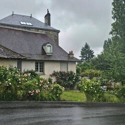 Wohnhaus mit ein paar Rosen davor