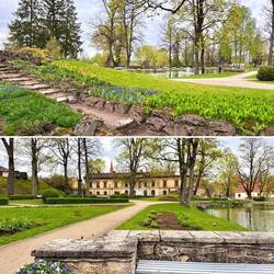 Direkt neben den Burgruinen liegen gepflegte Parks mit alten Bäumen, Teichen und schwarzen Schwänen.