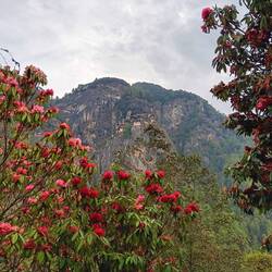 Tiger's Nest framed by rhododendrons