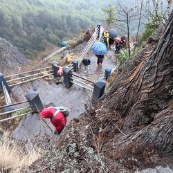 Raining as hikers climb back up the steps on their return to the trailhead