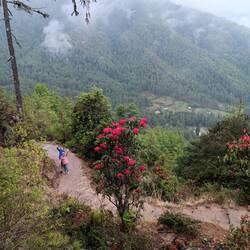 Cindy and Kim on the trail with rhododendron