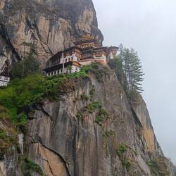 Down a lot of steps then back up more steps to Tiger's Nest