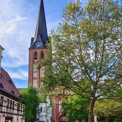Die St. Antoniuskirche Bitterfeld