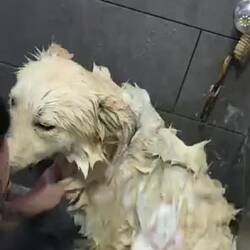 Shya's first ever shower! He's so skinny 🥺🥺🥺