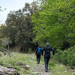 A perfect trail with no sheer drops, rockslides, or wash-outs