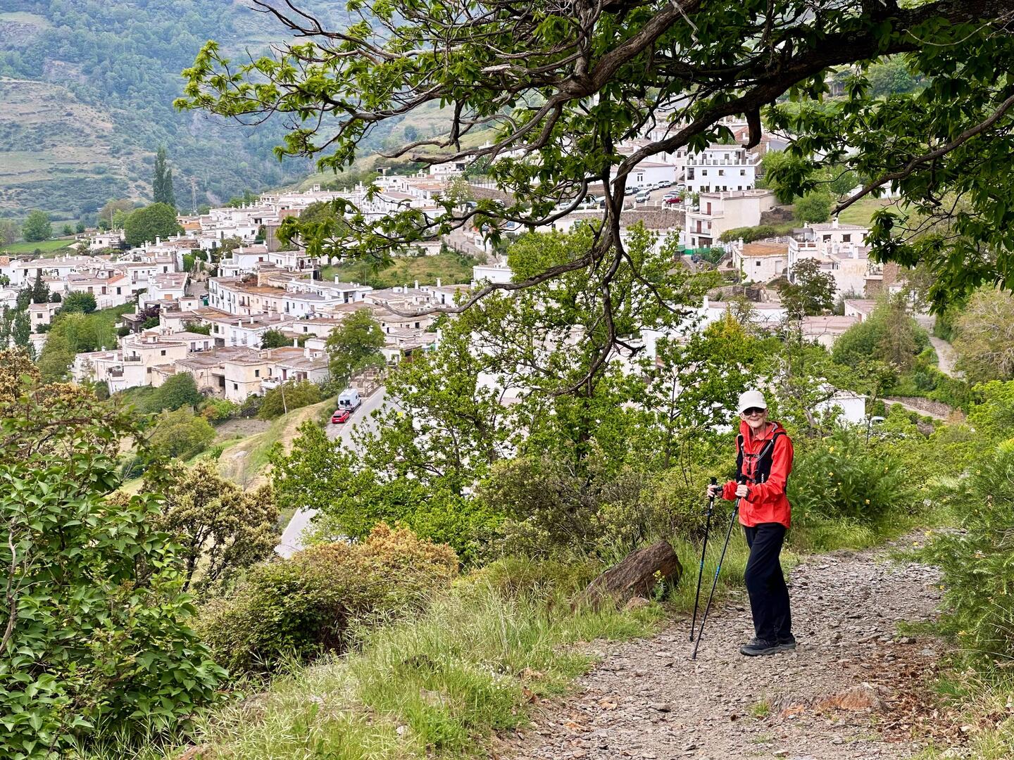 Above Bubión