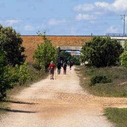 Line of pilgrims