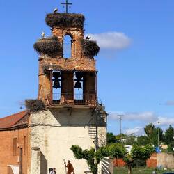 Stork nests