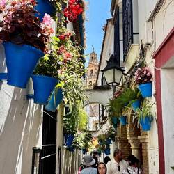 Die Blumrngasse