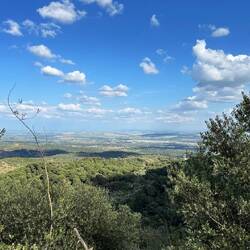 Blick zurück in die Ebene