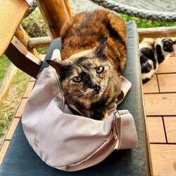 Diese Tasche mit den Brekkies ist somit beschlagnahmt
