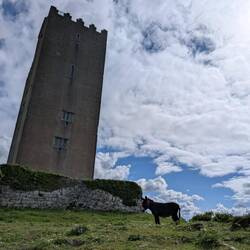 Ballyportry