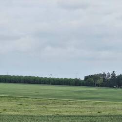 Die Haselnussplantage aus der Ferne