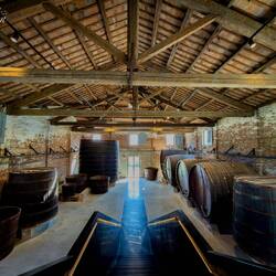 Vats filled with vinegar ... to be used in the marination — Manifattura dei Marinati.