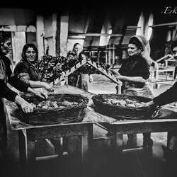 Historical photo of the women working at the Manifattura dei Marinati.