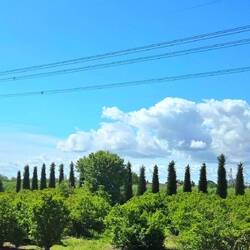 Typisch Toscana