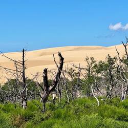 Dune du Pilat