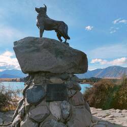 The Sheepdog Memorial