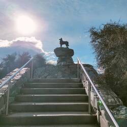 The Sheepdog Memorial