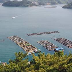 Austernfarm / Oyster farm