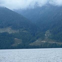 Some more logging on the side of the mountains.