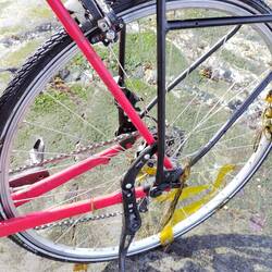 Seaweed wheels...