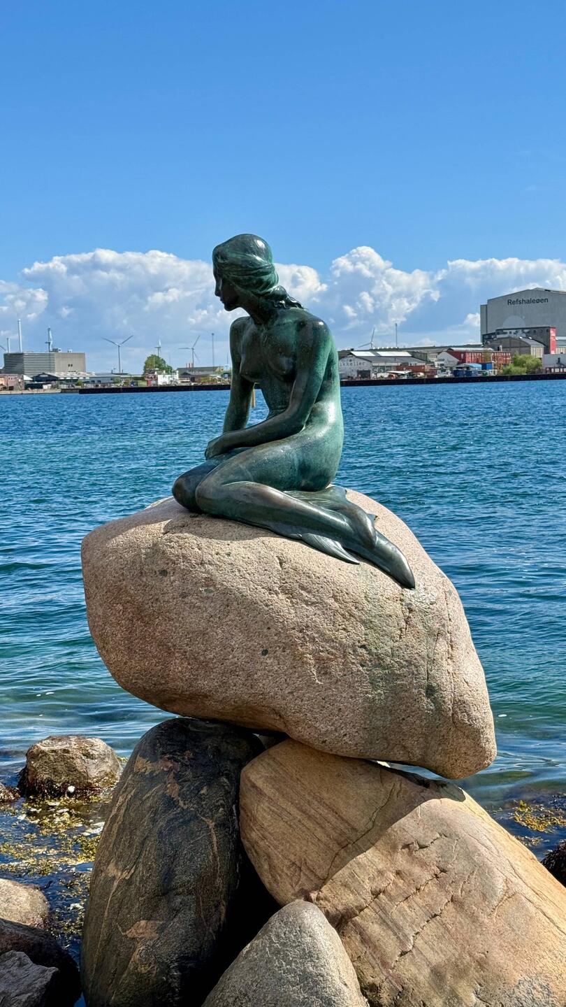 die kleine Meerjungfrau, eines der Wahrzeichen von Kopenhagen