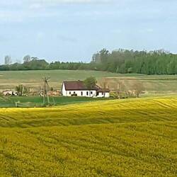 Sprazzi di giallo....🤩