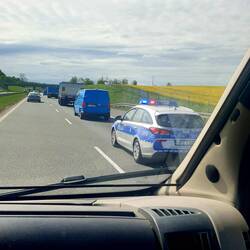 Cosa trasporteranno?? 🧐🤔