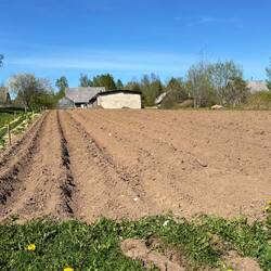 Yvonne's Gartenherz schlägt da gleich höher 🍅🥒🥔🍆🪏🫜👩‍🌾