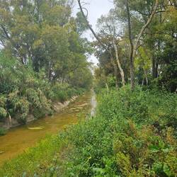 The Siedi canal