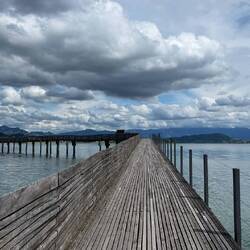 Ein Holzsteg geht über den See, trennt Zürichsee und Obersee