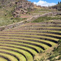 Agricultural terraces